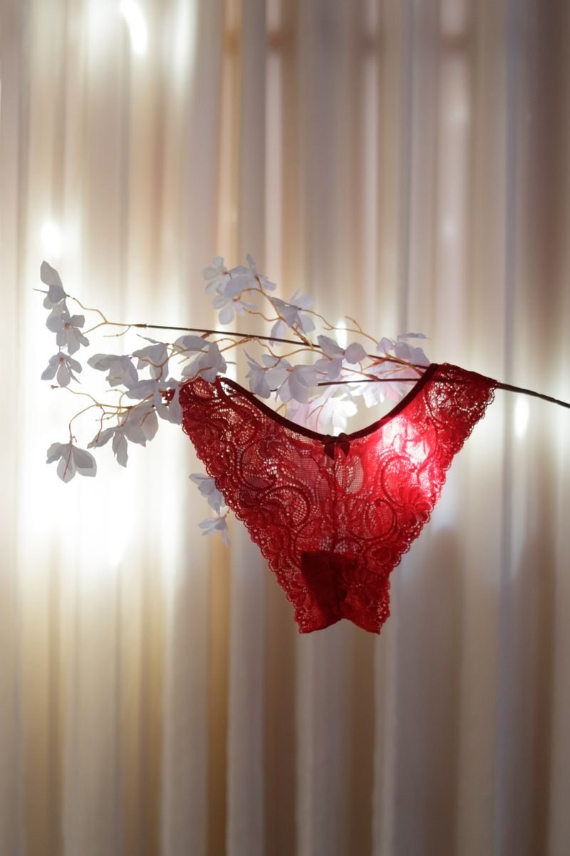 Red lace panties elegantly draped on a branch indoors with soft, natural lighting.