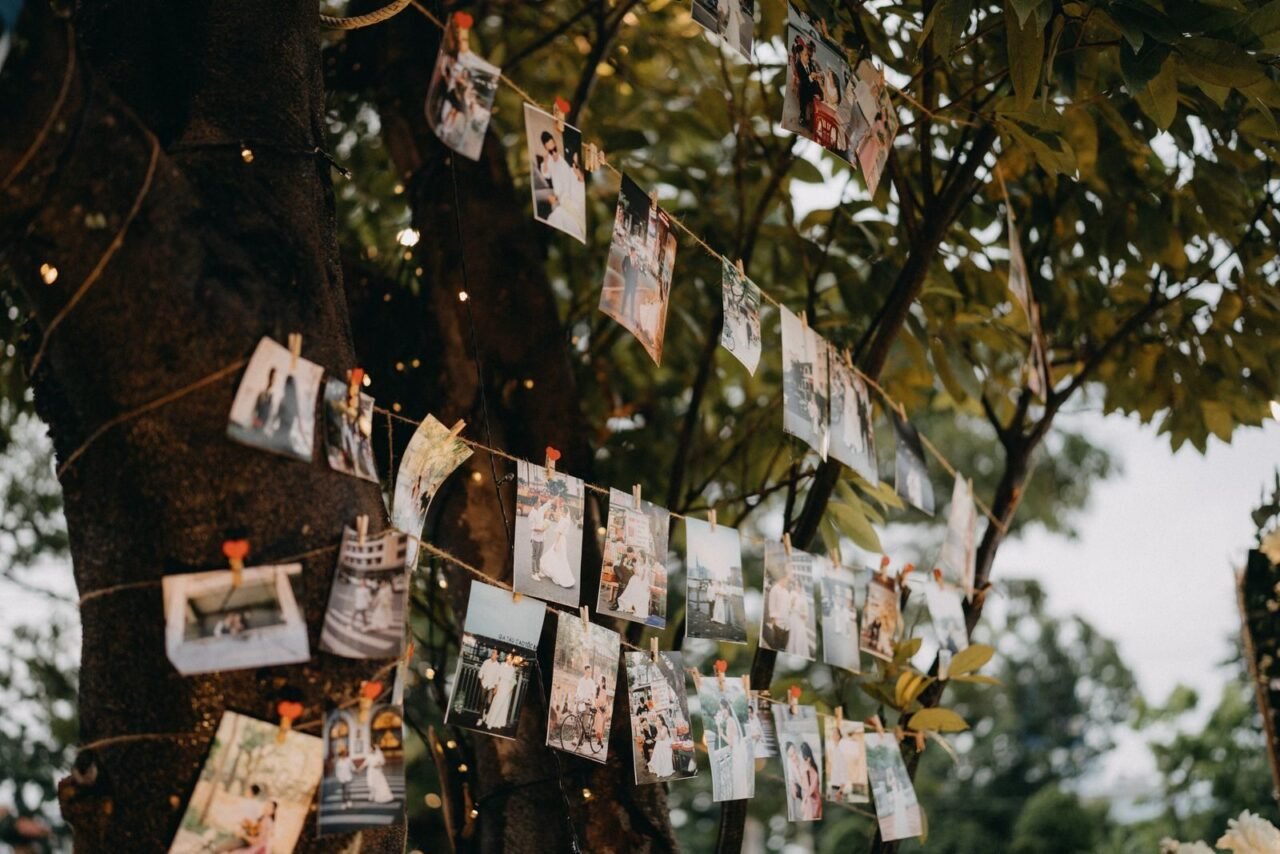 Outdoor display of photographs hanging from strings on a tree in a garden setting.