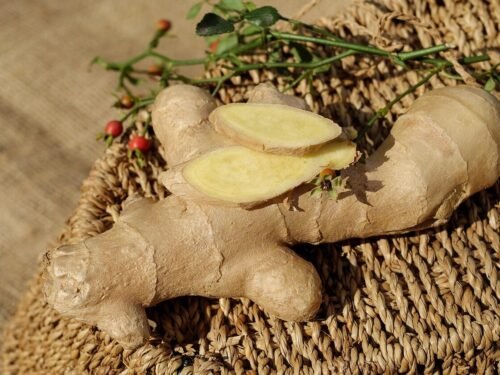ginger, ingber, immerwurzel, root, sharp, seasoning, food, medicinal plant, healthy, ginger, ginger, ginger, ginger, ginger