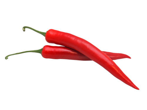 pepper, red, hot