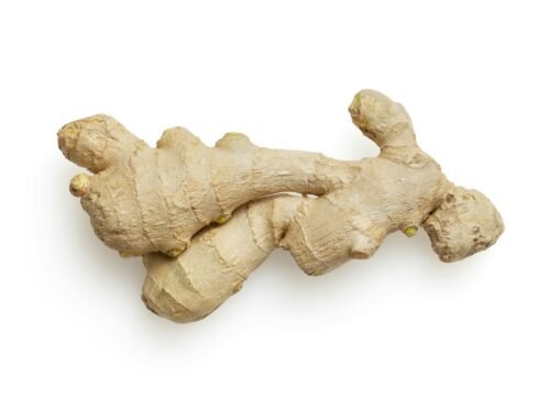 white and brown stone on white surface