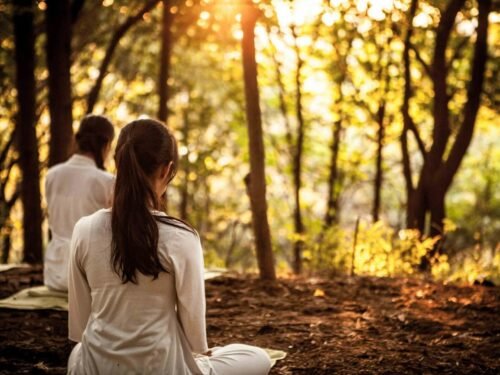 Women sitting in a forest during sunset, practicing meditation and relaxation.