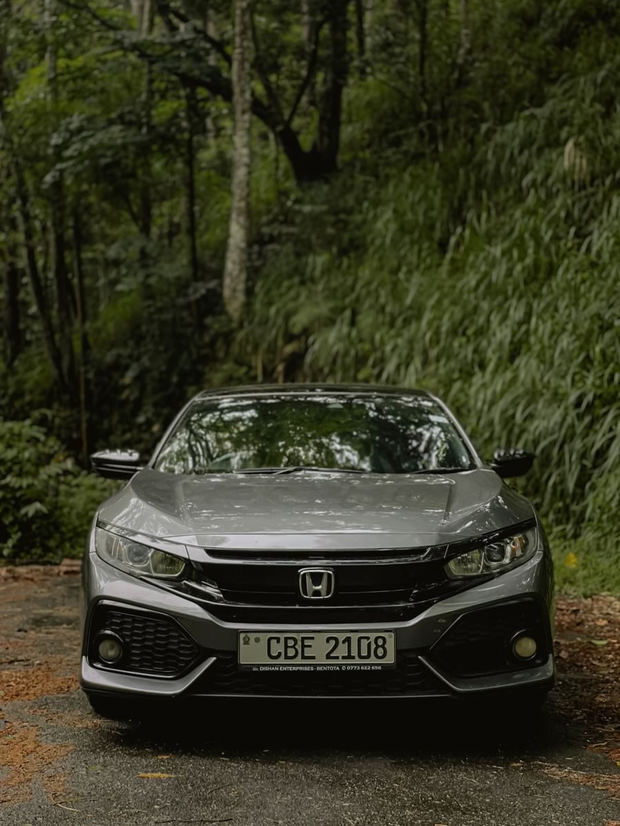 A sleek gray Honda Civic parked amid lush greenery in a serene forest setting.