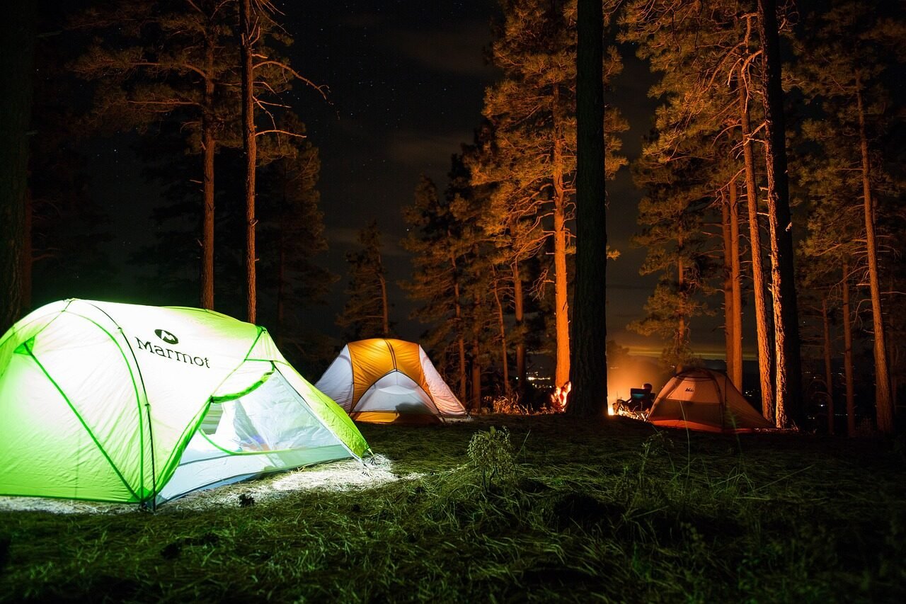 camp, outdoor, travel, adventure, tent, woods, nature, forest, bonfire, vacation, trip, people, grass