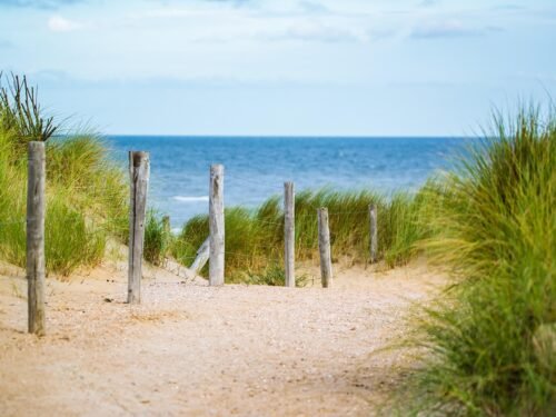 thin, sea, fence, water, vacation, north sea, path, sand, beach, landscape, travel, beach, beach, beach, nature, beach, beach