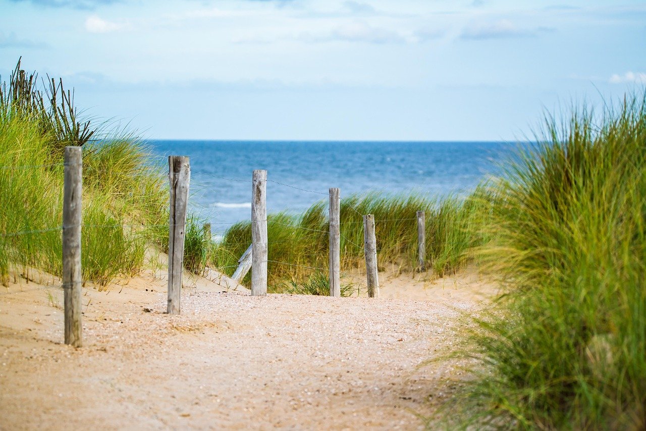 thin, sea, fence, water, vacation, north sea, path, sand, beach, landscape, travel, beach, beach, beach, nature, beach, beach