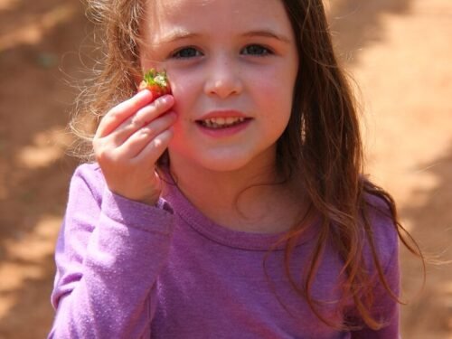 girl in pink long sleeve shirt holding green and yellow lollipop