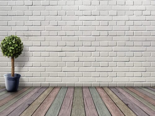 space, nature, empty, wooden floor, plant, plant pot, boxwood, deco, houseplant, white, inner space, wooden floorboards, coloured, wall, room, stone wall, architecture, living room, floor, inside, brick wall