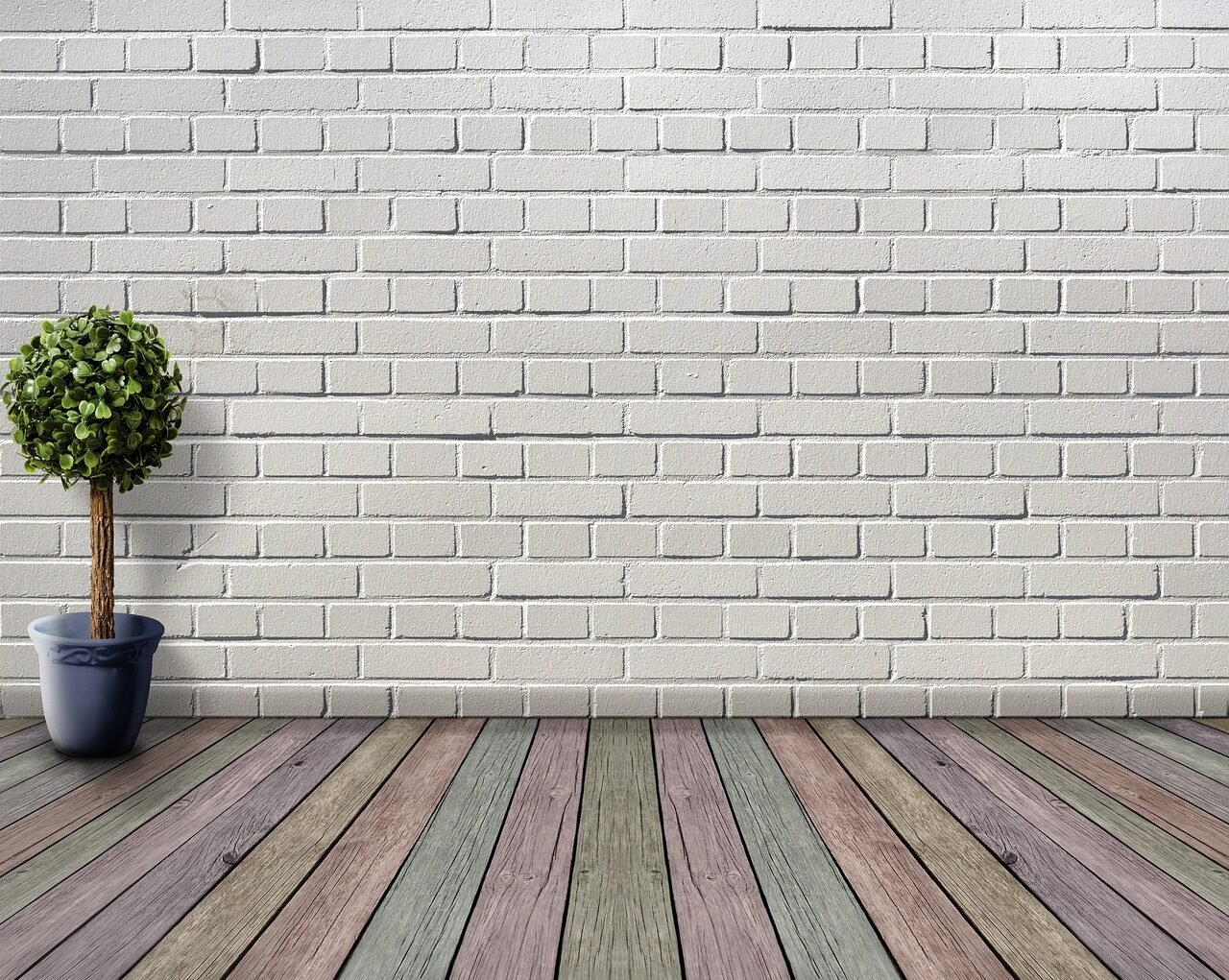 space, nature, empty, wooden floor, plant, plant pot, boxwood, deco, houseplant, white, inner space, wooden floorboards, coloured, wall, room, stone wall, architecture, living room, floor, inside, brick wall