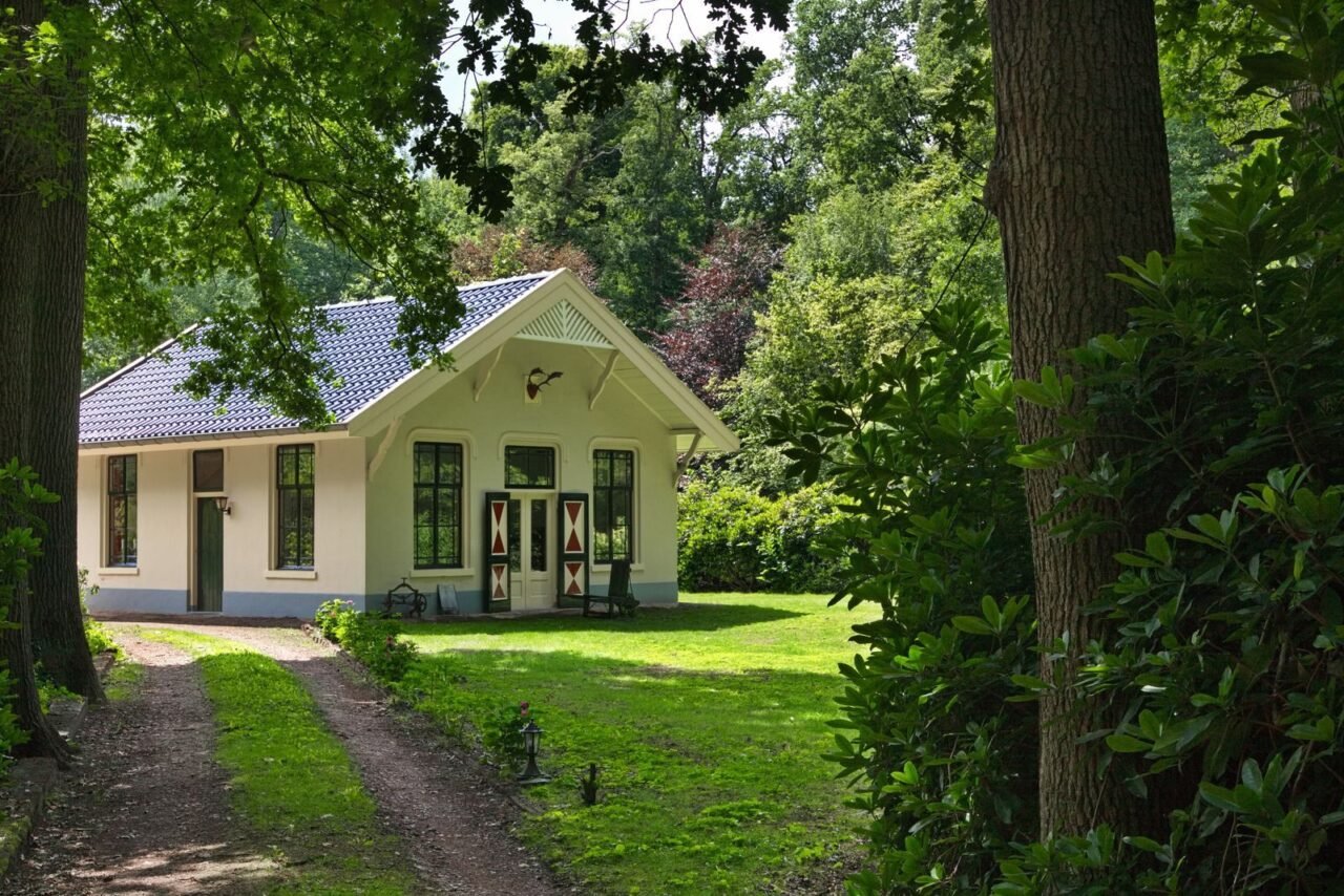 Cozy woodland cottage with traditional design in a vibrant green forest.
