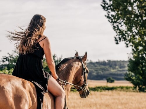 horseback riding, horse, woman