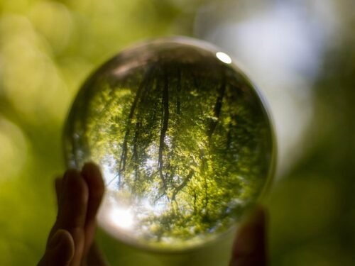 crystal ball, photo ball, glass ball, ball, glass, transparent, round, crystal, color, forest, green, nature, colorful, fingers, summer, crystal ball, crystal ball, crystal ball, crystal ball, crystal ball