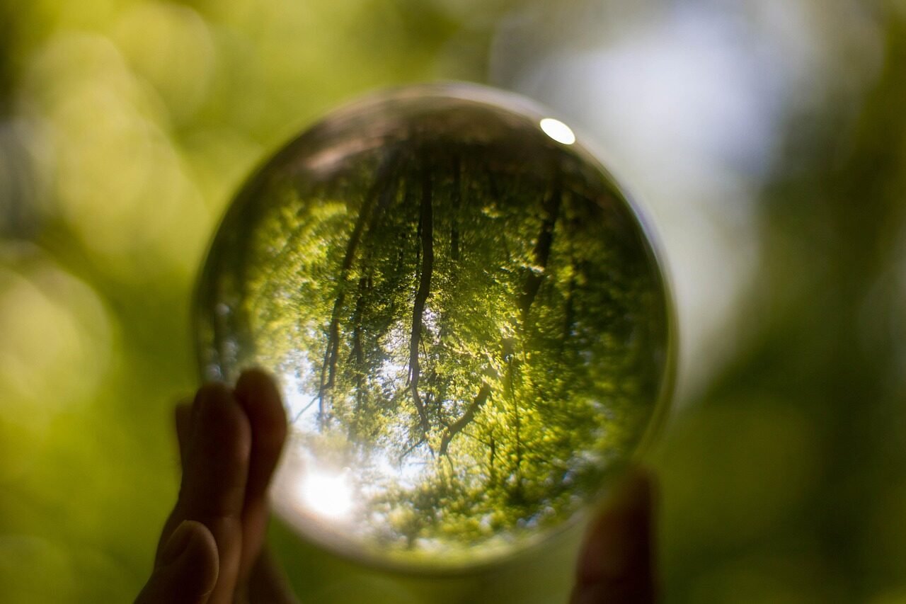 crystal ball, photo ball, glass ball, ball, glass, transparent, round, crystal, color, forest, green, nature, colorful, fingers, summer, crystal ball, crystal ball, crystal ball, crystal ball, crystal ball