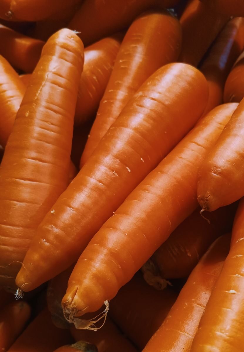 High-resolution image of freshly harvested orange carrots, perfect for food and nutrition themes.
