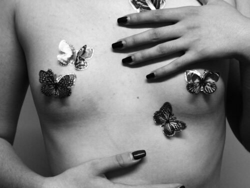 black and white butterfly on persons hand