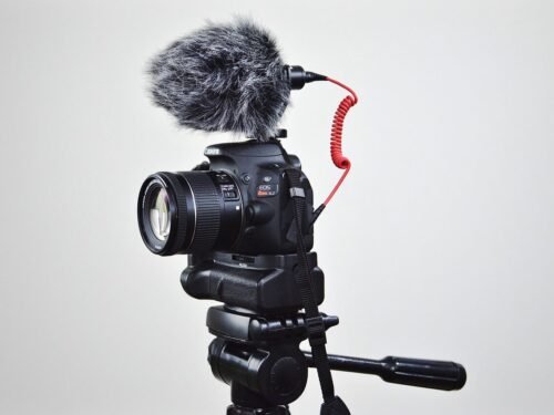 canon, camera, lens, equipment, opening, photograph, professional, photo, focus, photographer, shutter, canon, canon, canon, canon, canon, camera