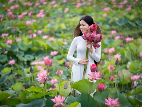 woman, model, portrait