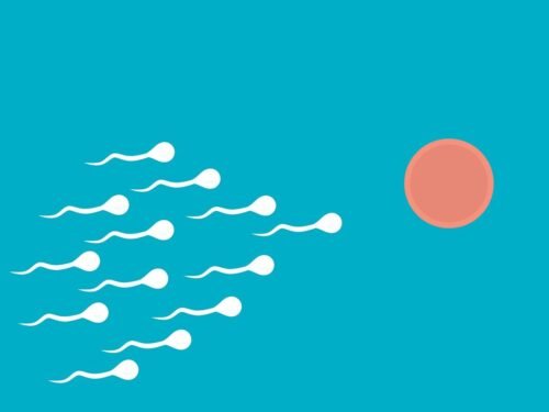fertilization, sperm, medical, procreation, fertilize, swim, pregnancy, fertility, dna, human, biology, health, symbol, cell, egg, fertile, genetic, insemination, birth, cartoon, sperm, sperm, sperm, sperm, sperm