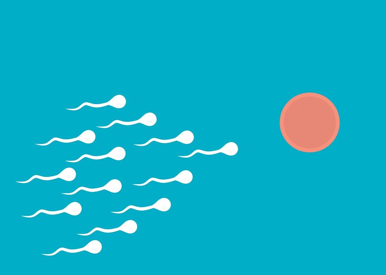 fertilization, sperm, medical, procreation, fertilize, swim, pregnancy, fertility, dna, human, biology, health, symbol, cell, egg, fertile, genetic, insemination, birth, cartoon, sperm, sperm, sperm, sperm, sperm