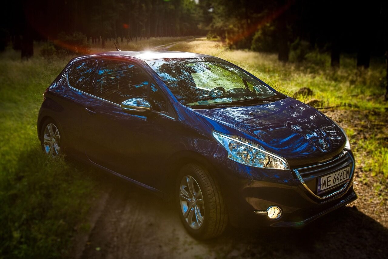 peugeot, nature, car wallpapers, peugeot 208, forest, car, forest road, automobile