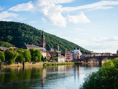 green trees near body of water during daytime