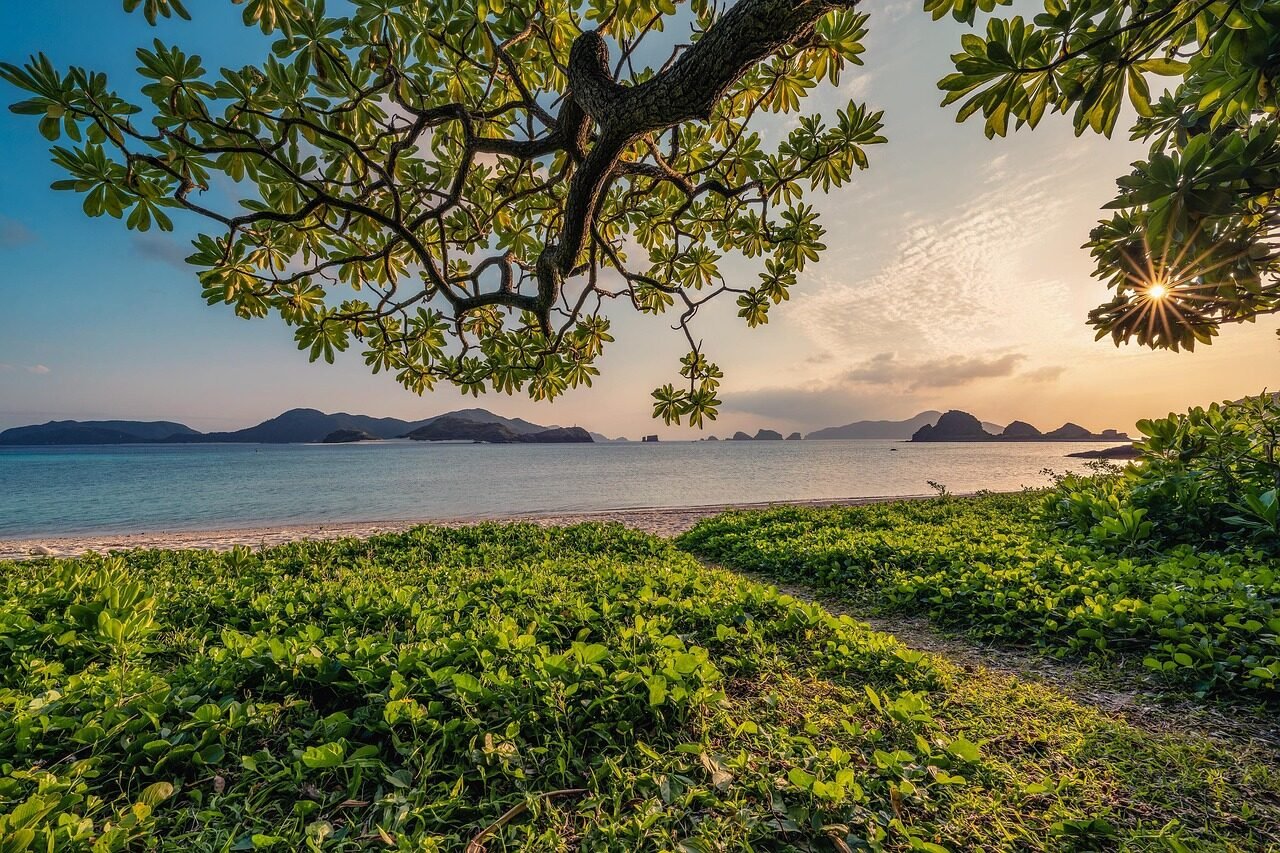 sunset, sand, beach, islands, leaf, nature background, subtropical, okinawa, japan, landscape, hd wallpapers, hd wallpaper, beautiful nature, nature, nature wallpaper