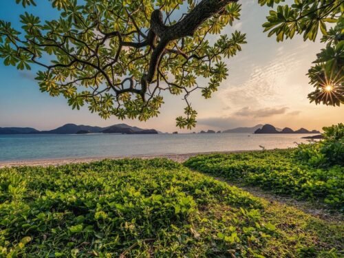 sunset, sand, beach, islands, leaf, subtropical, okinawa, beautiful nature, nature background, nature, japan, landscape, hd wallpapers, hd wallpaper, nature wallpaper