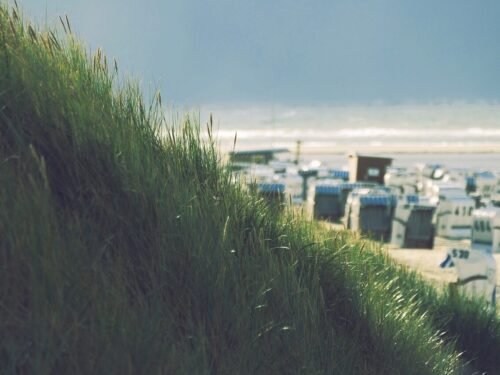 beach, sand dunes, beach chair, sea, north sea, spiekeroog, island, summer, sand, nature, water, waves, summer, summer, summer, summer, summer
