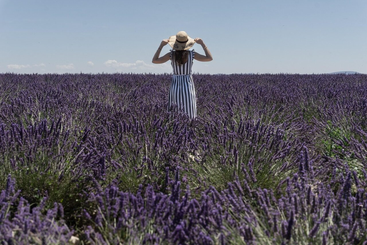 lavender, beautiful flowers, flowers, woman, flower wallpaper, provence, purple, nature, flower background, summer, france