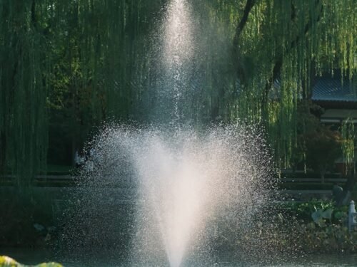 a fountain spewing water into a pond surrounded by trees