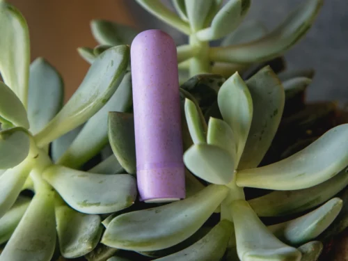 5 geriausi maži vibratoriai (3)