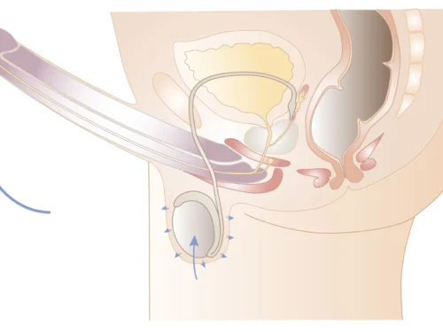 Geriausi sekso pratimai vyrams, padedantys pasiekti tvirtą erekciją, ištvermę ir stumiamąją jėgą (6 dalis)