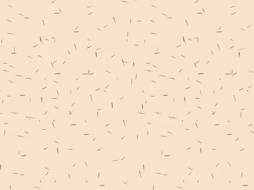 8 gaktos šukuosenų idėjos, kurias galite išbandyti norėdami patobulinti savo gaktą