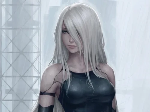 Animacija suaugusiems, arba erotika ir dar kai kas animacijoje