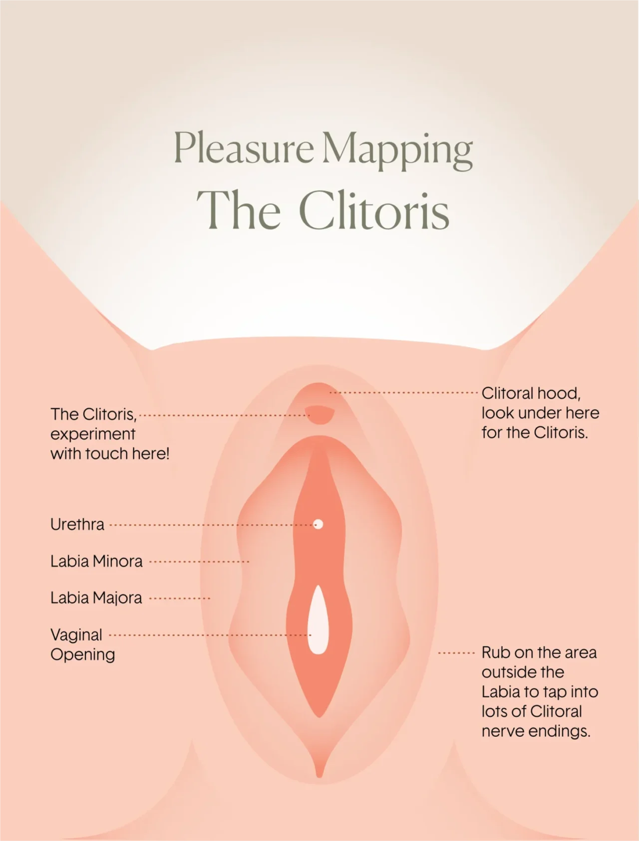 Clit diagram