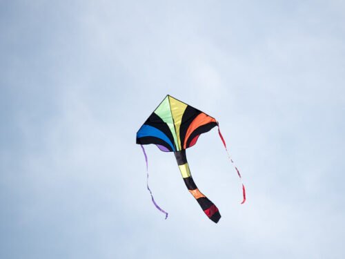 Vaikinų masturbacijos technika nr. 190. „Aitvaro ištraukimas“