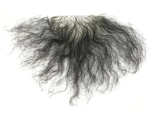 Kate Winslet dėvėjo intymios vietos peruką