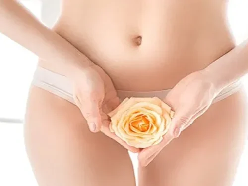 Bikini dizainas – šukuosena intymioj vietelėj