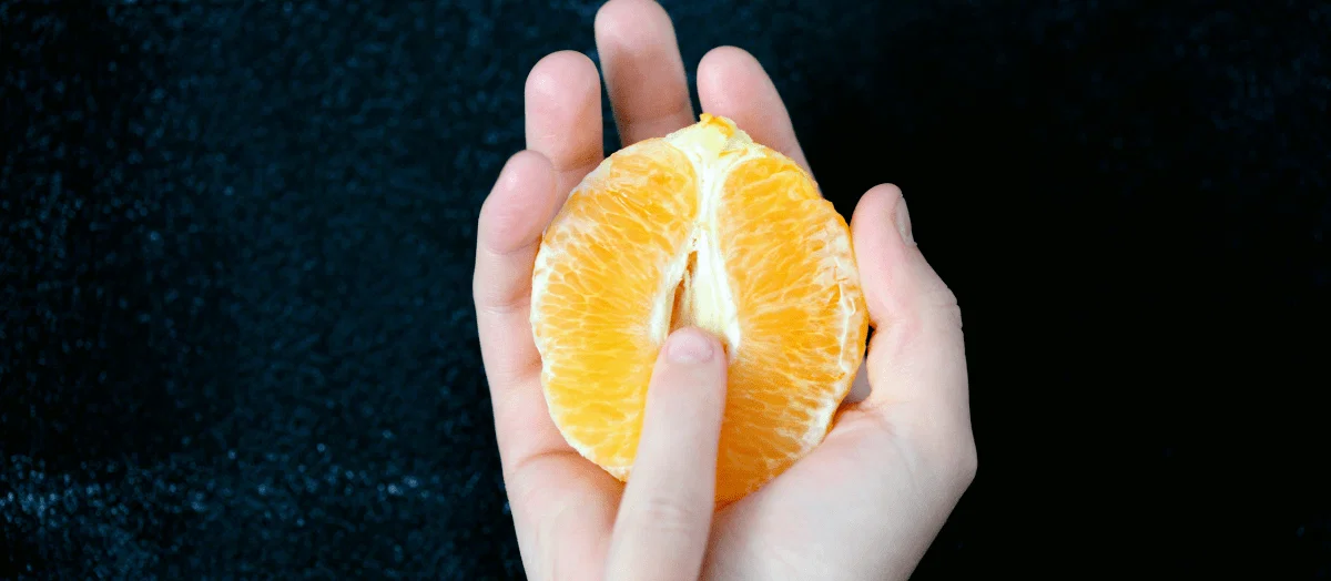 Fruit