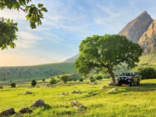a jeep parked in a field with a mountain in the background