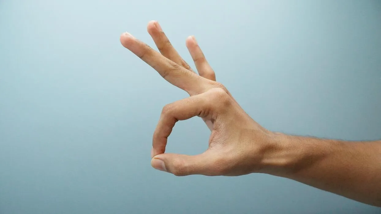 Hand gesture (3)
