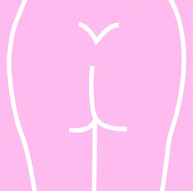 5 skirtingų tipų užpakalio formos su paaiškinimais. 3. Apverstas