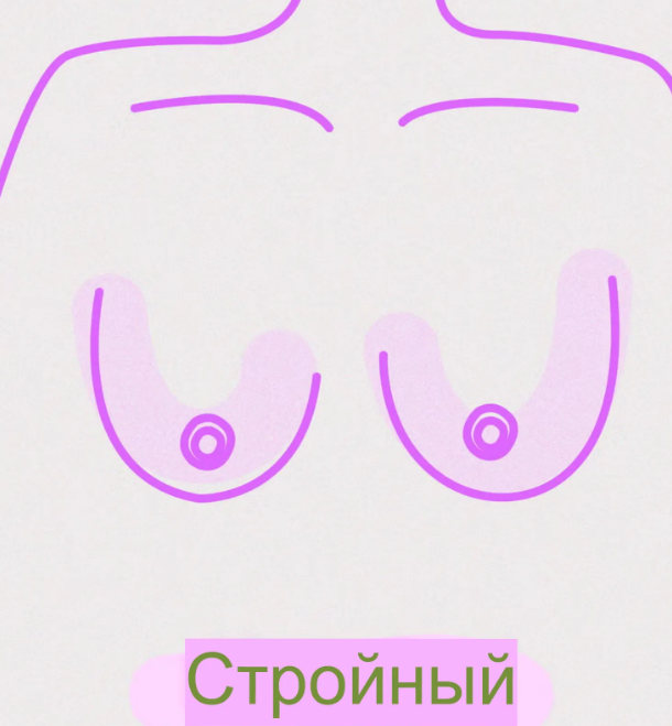 Pasaulyje yra 8 skirtingų tipų krūtys – štai ką reikia žinoti. 6. Lieknas