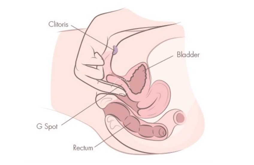 Kaip priversti merginą patirti orgazmą