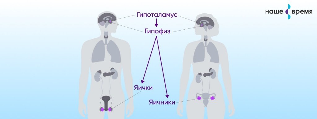 470_001.jpg 470_001.jpg