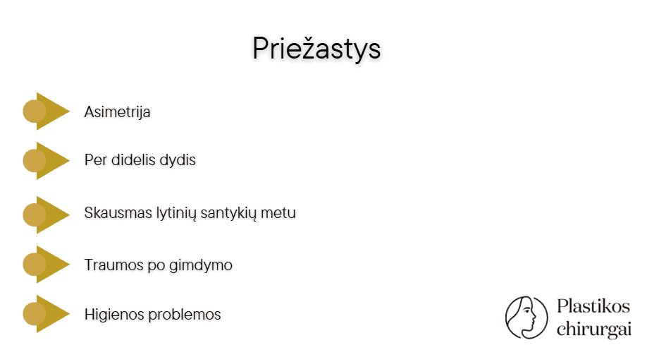 Balta skaidrė su antrašte „Priežastys“ ir penkių priežasčių sąrašu lietuvių kalba, kiekviena pažymėta auksine rodykle. Apatiniame dešiniajame kampe yra logotipas „Plastikos chirurgai“, stilizuotas veidas ir terminas „lytinių lūpų korekcija“.