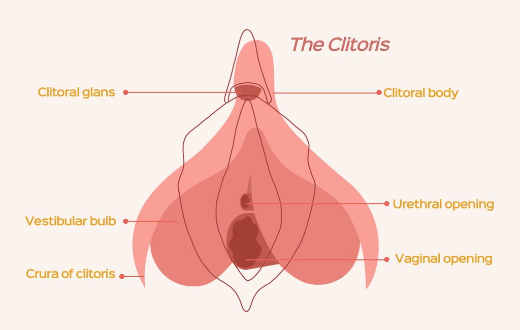 Clit sex toy