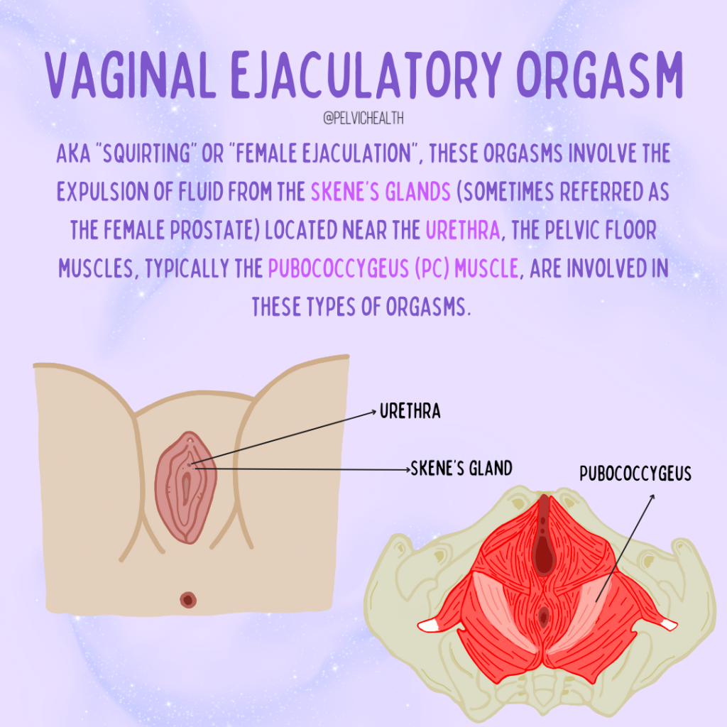 Pelvic Floor Physical Therapy img