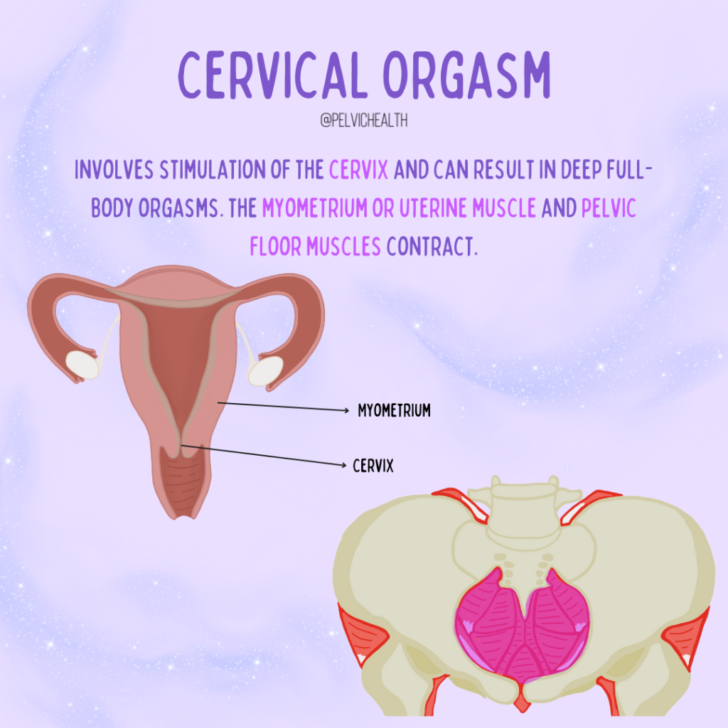 Pelvic Floor Physical Therapy img
