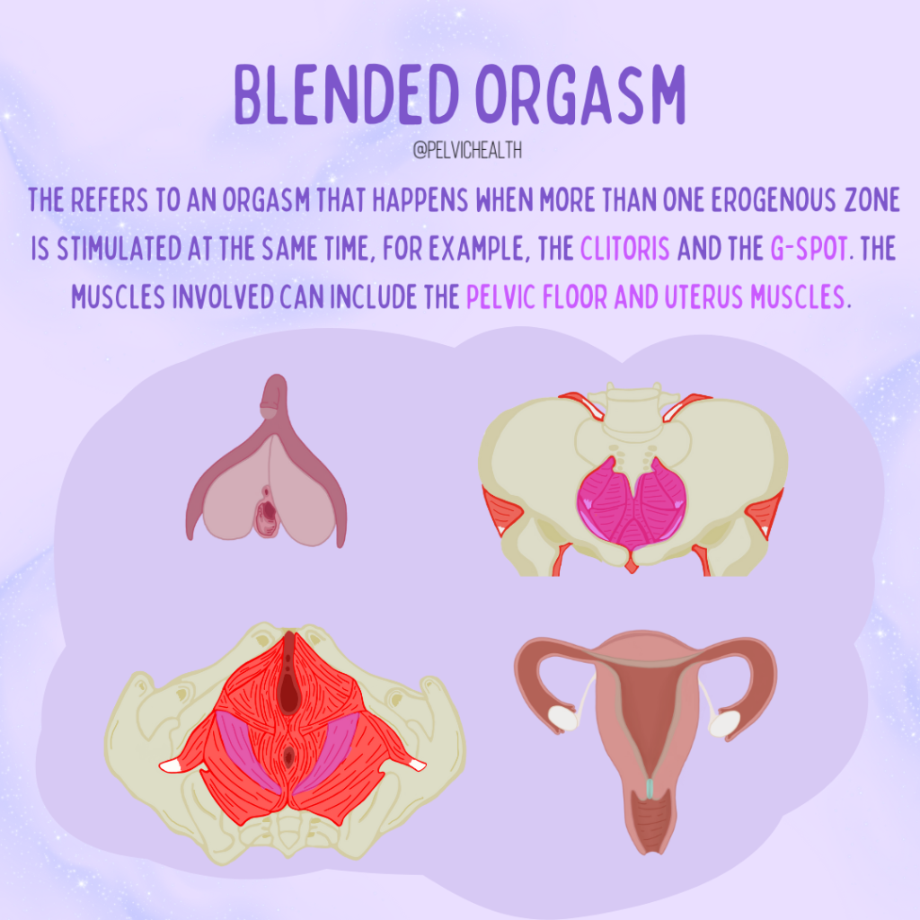 Pelvic Floor Physical Therapy img